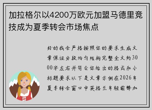 加拉格尔以4200万欧元加盟马德里竞技成为夏季转会市场焦点